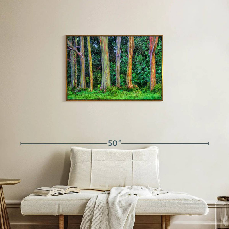 Eucalyptus arc-en-ciel, Cadre flottant doré, 31 po x 21 po