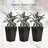 Three-piece tall planter with drainage hole-48187556