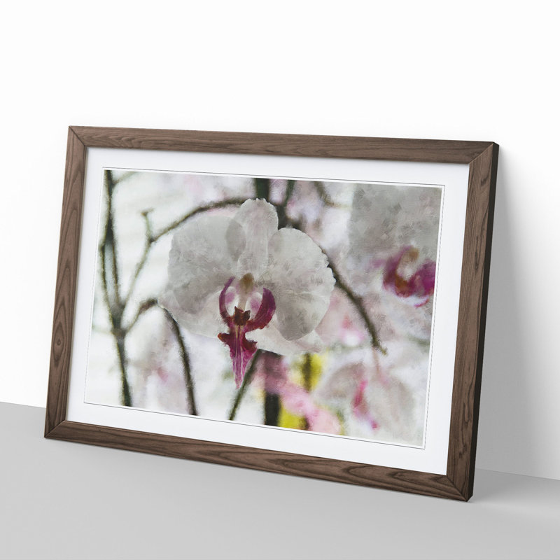 Orchid Flowers Vol.4 - Framed Print, 27cm H x 36cm W x 2cm D, Walnut Framed