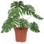 Round Flower Pot 6 Pcs Plastic-701502282-701502285