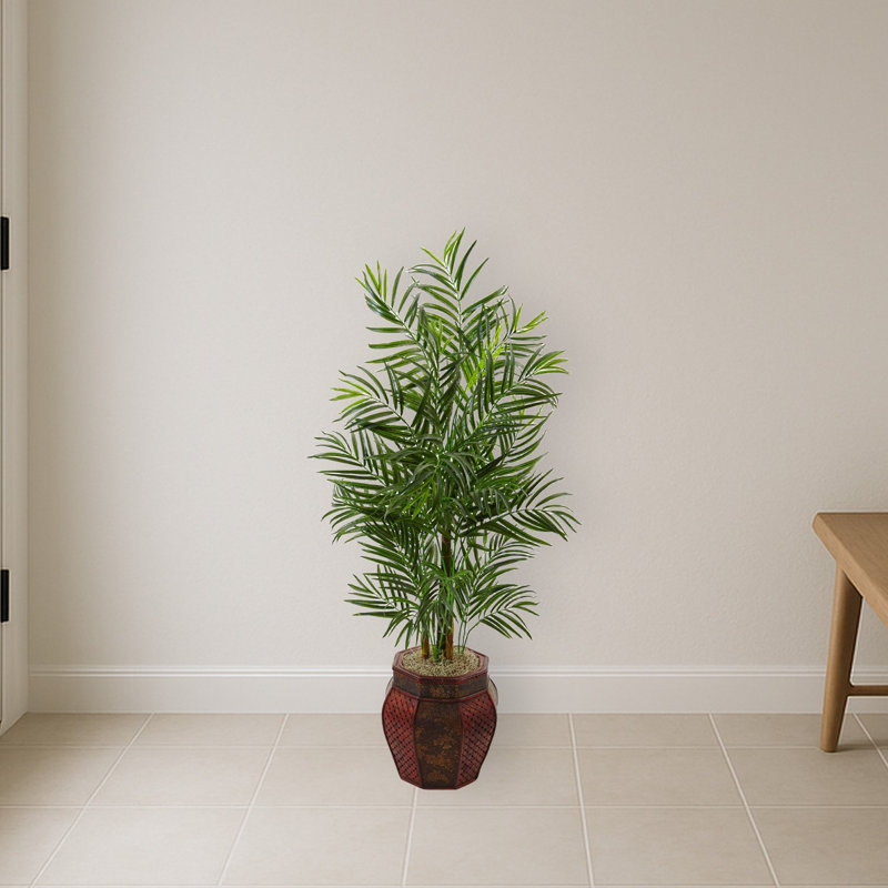 Areca Palm Tree in Weave Planter