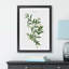 Olive Tree by Pierre-Joseph Redoute - Single Picture Frame Painting-48224250-48224251