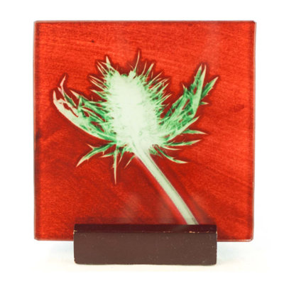 Glass Square 1 Piece Coaster