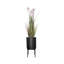65 po plante de roseau en pot