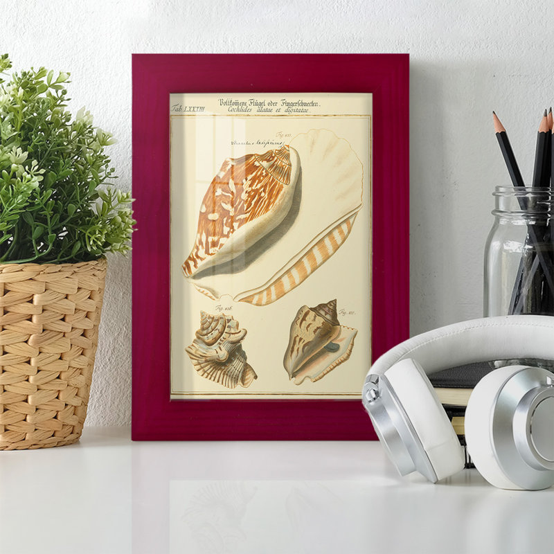 Coquilles de martini antique III sur papier, Rouge, H 8 po x l 6 po x P 1 po