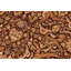Tapis oriental rectangulaire en laine fabriqué à la main 6 pi 2 po x 9 pi 3 po Pancoast
