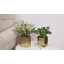 Metal Pot Planter-1642570877