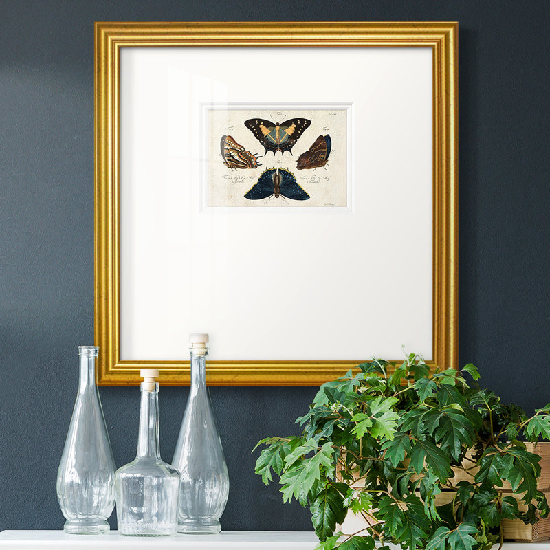 «Crackled Butterflies IV» - reproduction d'un seul cadre photo, H 17 po x l 17 po x P 1,25 po