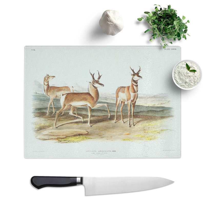 Tempered Glass Prong-Horned Antelope by J.W. Audubon Chopping Board, 39 cm x 28.5 cm