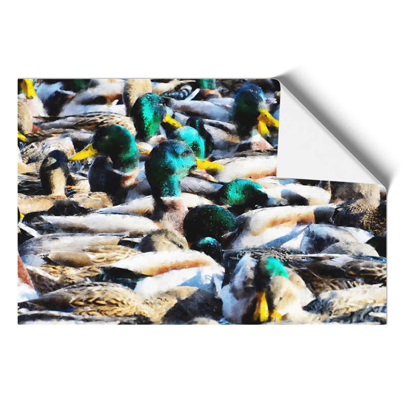 Mallard Ducks - Unframed Graphic Art, 42cm H x 59cm W x 0.1cm D