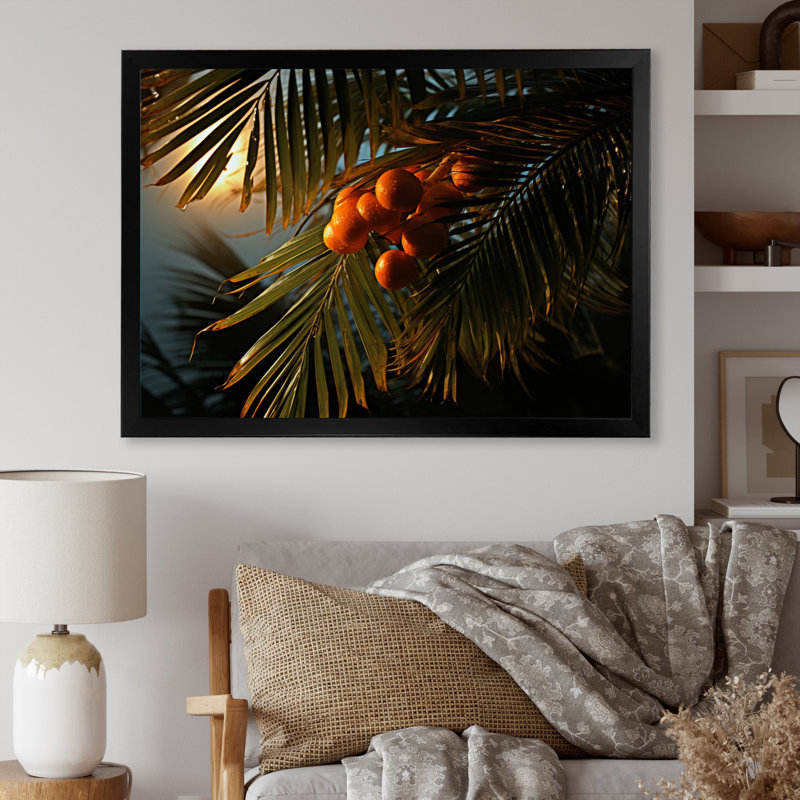 " Palm Trees Palm I ", 12" H x 20" W x 1" D, Black Picture Framed