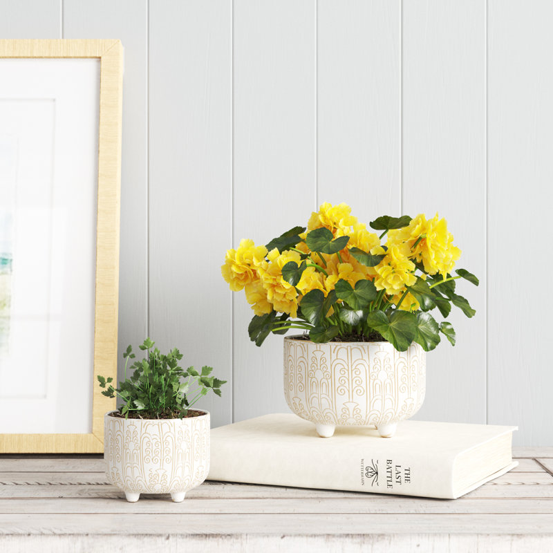 Ceramic Pot Planter