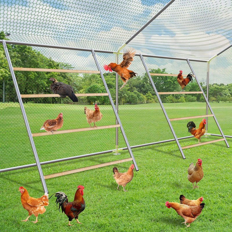 Ficarra Roosting Bars / Frames, 1
