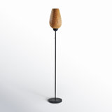 Raine 68.25'' Black Novelty Floor Lamp