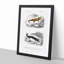 Salamander Illustrations PL. 18 by Charles d' Orbigny - Picture Frame Painting Print-55613441-55613442