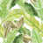Lime sélectionné