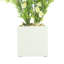 Heather in Vase