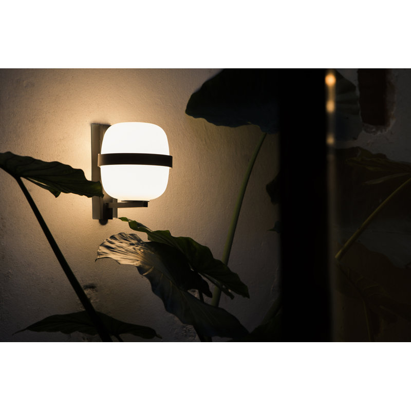 Wally Cestita Wall, Black