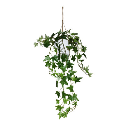 Plante de lierre artificiel de 66 cm en pot de céramique, plante d'intérieur suspendue
