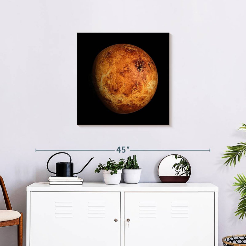 Oberle Venus Close Up, 24" H x 24" W