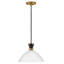 Luminaire suspendu convertible 1 lumière Simon