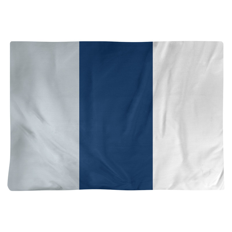 Récapitulatif 18" basket Washington, Argent / bleu marine / blanc, Sergé de coton