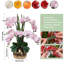 Arrangement floral artificiel