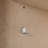 Bailey 30 in. Single Sink Freestanding Sahara Birch Bathroom Vanity with White Stone Top, Backsplash, Matte Black-914021178-914021181-914021168