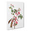 Pink Judas Tree Flowers by Pierre-Joseph Redoute - Wrapped Canvas-55325150