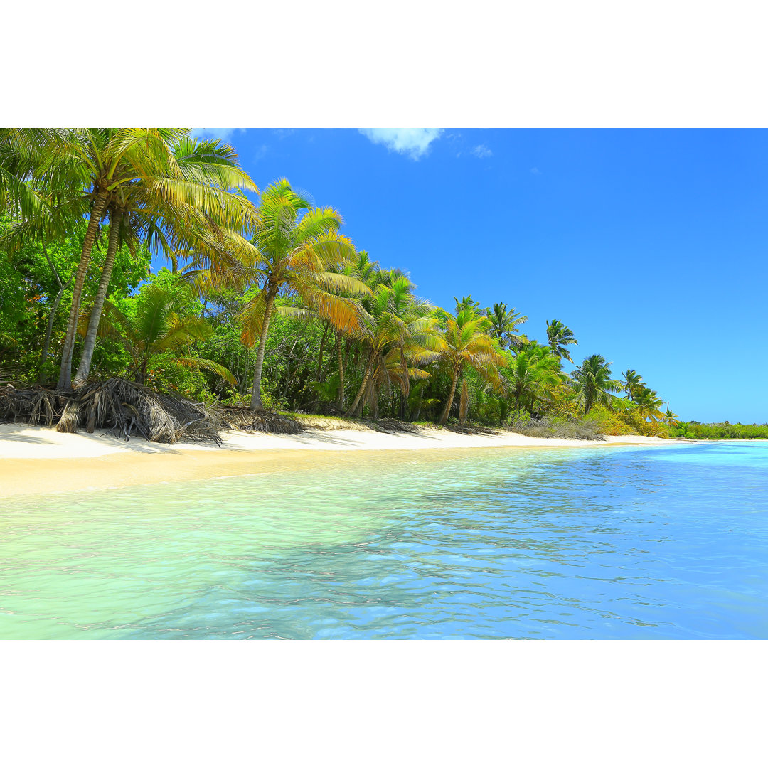 Sandy Beach von Agustavop - Druck auf Leinwand ohne Rahmen