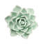 Ceramic Garden Flower Stakes, Set Of 3