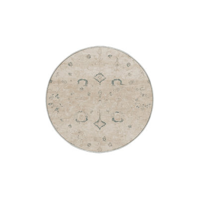 Machine Washable Beige Area Rug GSIX03668