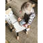 Forest Kids Chair