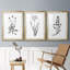 " Inky Botanical I " 3 - Pieces-817928885-818675224