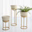 Wise Egg Planter-23116830-24578531