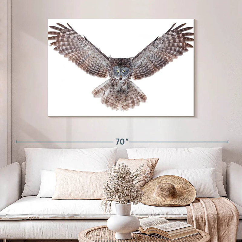Owl Power, H 32 po x l 48 po