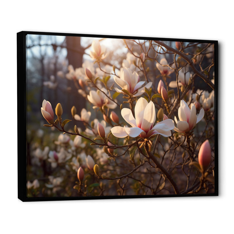 «White Pink Magnolias Landscape IV», reproduction d'art sur toile, H 16 po x l 32 po x P 1 po, Cadre flottant noir
