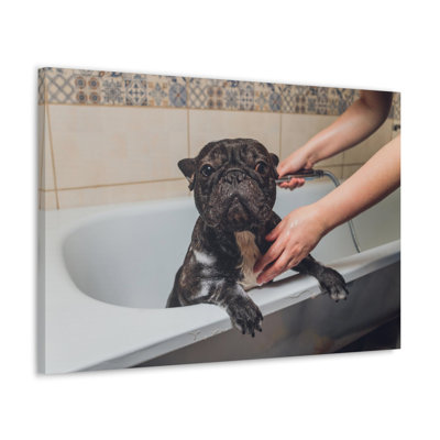 Wall Art on Canvas