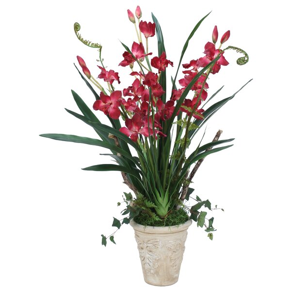 Bay Isle Home 40'' Orchid Plant in Ceramic Pot | Wayfair