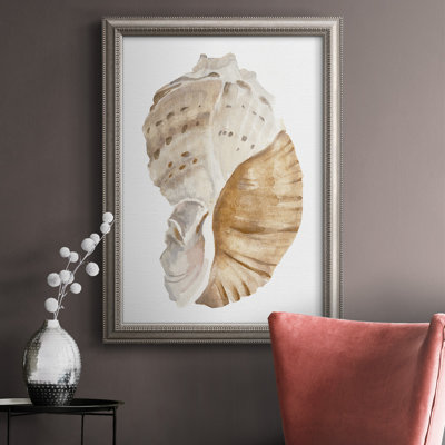 " Seashell I "