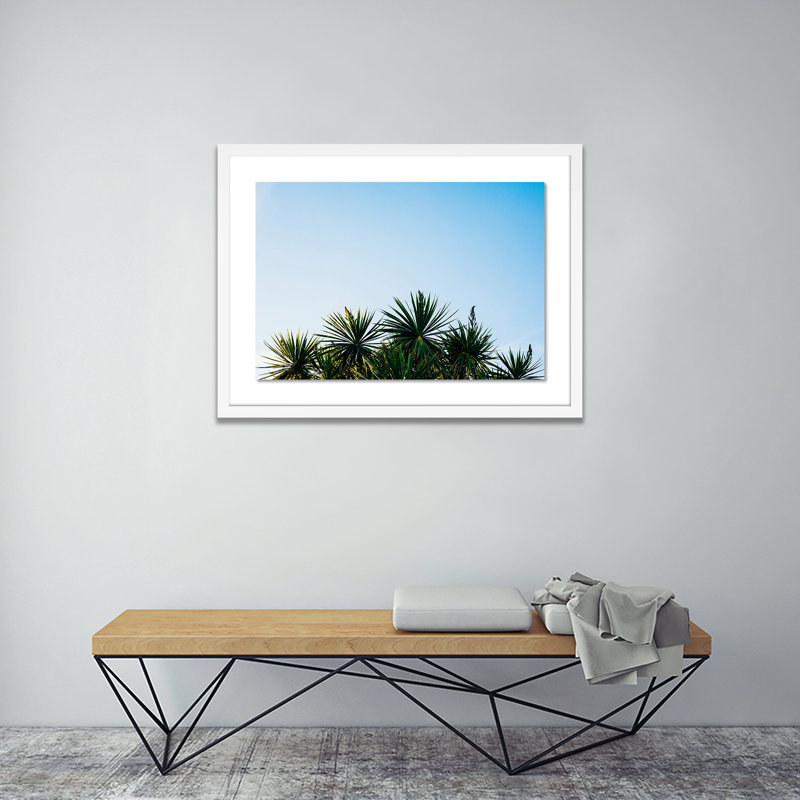 Palm Trees Print by Oliver Cole, White, 29" H x 40" W x 2.5" D