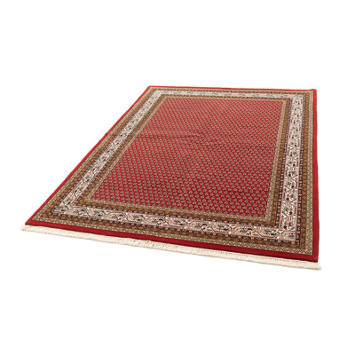 Tapis rouge Oneill