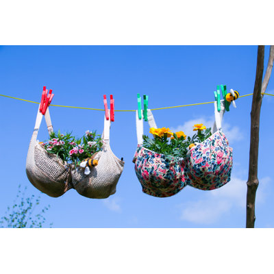 " Plants Growing In The Bra "