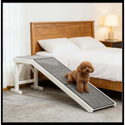 Rampe pratique pour animaux de compagnie, rampe pour chien