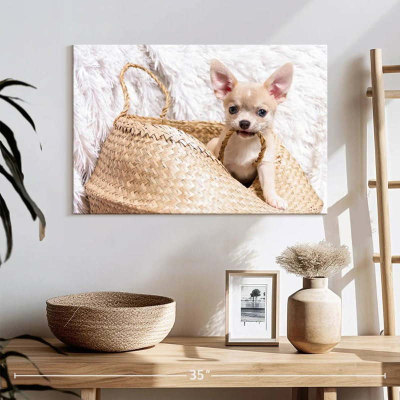 Rowdy Chihuahua, 16" H x 24" W