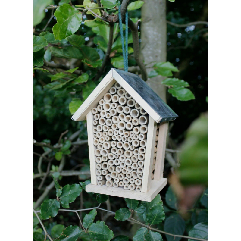 Thorgard Weather Resistant Insect Cage