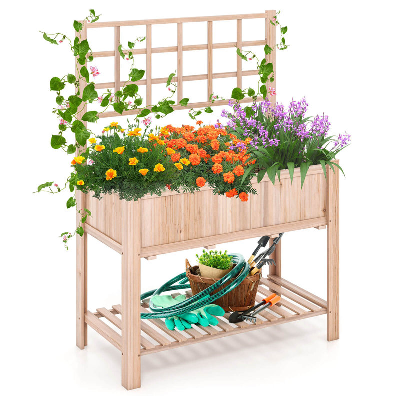 Jovonne Wood Raised Garden Bed with Trellis