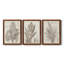«Sepia Exotic Plants I», ensemble de 3 peintures sur toile encadrées-2017768724-2017768734