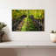 Yarlin Napa Valley Vineyard-111822985
