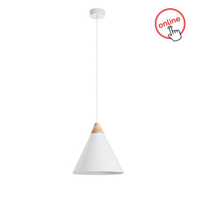 Aaruhi 1 - Light Cone Pendant